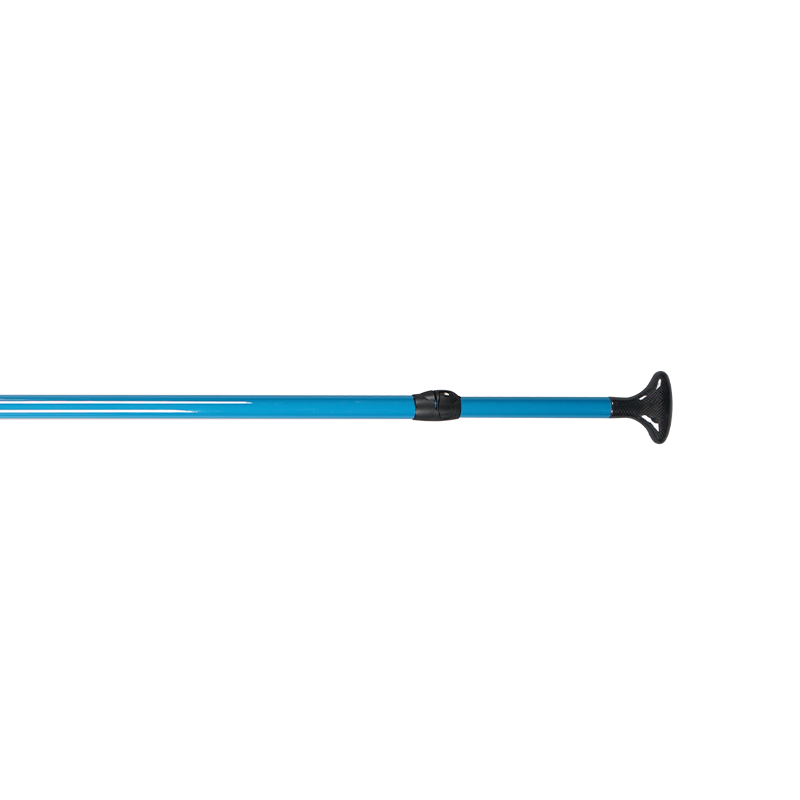 Coasto Pagaie Sup 100% Carbone Feather