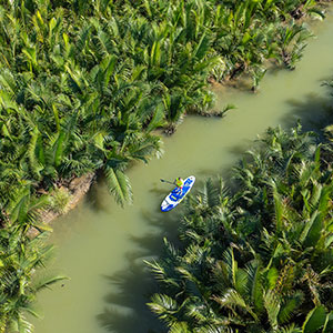 Un homme entrain de pagayer sur un stand up paddle dans une rivière à l'eau verte entre des palmiers en thailande