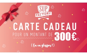 
			                        			Carte cadeau 300 euros